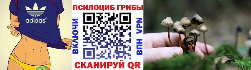 Галлюциногенные грибы Magic Shrooms  Лакинск 