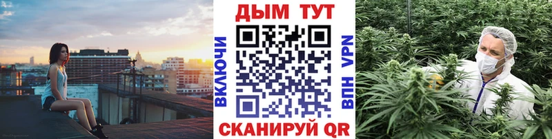 Конопля тримм  площадка Telegram  Лакинск 